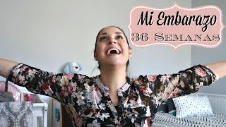 36 SEMANAS DE EMBARAZO  Meta final Sintomas de Parto Ultimos Detalles  36 Week Bumpdate [upl. by Fortna]