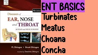 Turbinates  Meatus Choana  Concha  Part 1  Nose [upl. by Caton238]