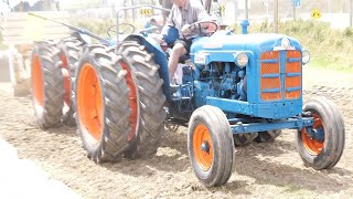 Antique Tractor Pulling  Dual Fordson Super Major Tractor Pulling at Edendale Crank Up 2024 [upl. by Elon225]