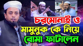 চরমোনাই ও মামুনুল কে নিয়ে বোমা ফাটালেন  মুফতি আল আমিন সসইফি  Waz 2024  Mofti Al Amin Saifi waz [upl. by Ameyn]