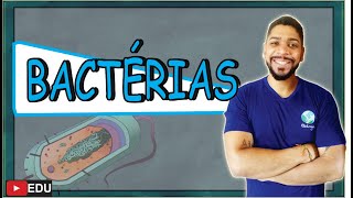 Reino Monera BACTÉRIAS CARACTERÍSTICAS GERAIS I MICROBIOLOGIA I Prof Michael Bryan [upl. by Yeznil]