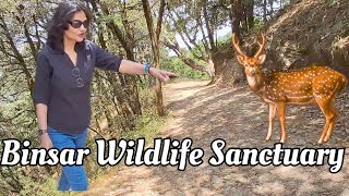 BINSAR Wild Life Sanctuary 🦌🐧Vlog [upl. by Hamal937]