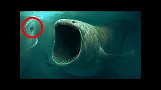 Top 10 most dangerous animals in Australia [upl. by Ednalrim596]