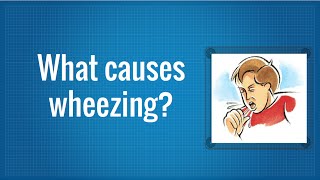 What Causes Wheezing [upl. by Hoffman571]