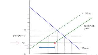 11f the effects of an import quota [upl. by Domella]