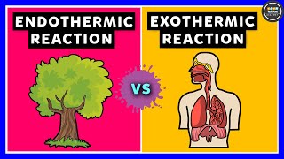 Endothermic Reaction and Exothermic Reaction [upl. by Tammara]