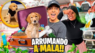 ARRUMANDO A MALA PARA A PRIMEIRA VIAGEM DO MEU CACHORRO🐶 ele está doente😨🤒 [upl. by Nedyaj811]