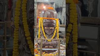 PASHUPATINATH MAHADEV MANDSAUR  MAHAKAL DARSHAN mahadev mahakal shorts short ytshorts explore [upl. by Kwok]