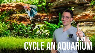 How to Cycle a Planted Aquarium  The Nitrogen Cycle in the Fish Tank  EP2 Planted Tank Overview [upl. by Mure]