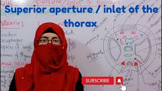 Superior aperture of thorax  inlet of the thorax  boundaries  plane  contents  thorax anatomy [upl. by Enilarac]