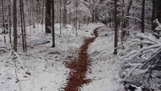 Adirondacks  Bear LakeMountain [upl. by Neirad]