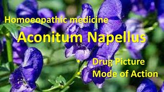 Aconitum Napellus for fears anxiety and restlessness  Homeopathy 👍 shortsviral [upl. by Narual]