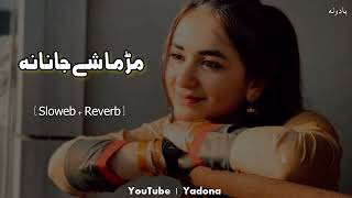 Khalaq Rata Wayi Che Ashna De Mazedar De Pashto Slowed  Reverb Pashto New TikTok Viral Song [upl. by Ayikal596]