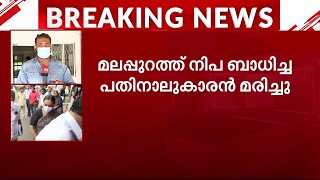 നിപ മരണം 63 പേർ ഹൈറിസ്ക് പട്ടികയിൽ രണ്ട് പേർക്ക് രോ​ഗലക്ഷണങ്ങൾ  Nipah Death [upl. by Ennayk448]