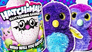 Hatching Egg Hatchimals  Surprise Egg Hatchimals Video Hatchimals Colleggtibles  pocketwatch jr [upl. by Dnaltiac]