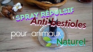 Astuce Spray naturel répulsif antitiques antibestioles Pour animaux chiens [upl. by Cypro714]