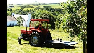 Mowing the New Woodland with MF 135 and Fleming topper Under the Trees [upl. by Obediah]