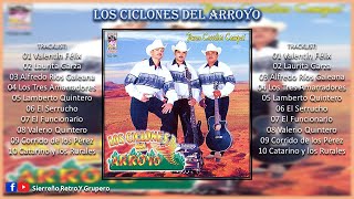 LOS CICLONES DEL ARROYO  Puros Corridos Compa DISCO DE ESTUDIO [upl. by Nolyag]