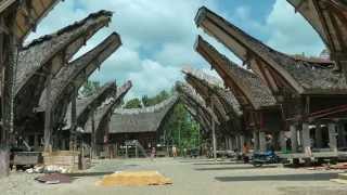 INDONESIA Palawa Sulawesi hdvideo [upl. by Ravens]