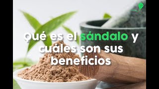 beneficios del incienso de sándalo [upl. by Alletsirhc503]