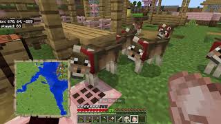 Minecraft survival  I got more dogs And i got windows [upl. by Macintosh]