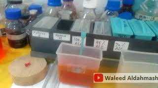 خطوات صبغ القطاعات النسيجية بصبغة الهيماتوكسلين  ايوسين Hematoxylin amp Eosin HampE Staining [upl. by Lexis]