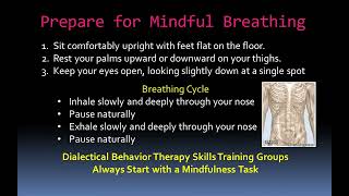 Introduction to Paced Breathing DBT Skills Training [upl. by Asetal]