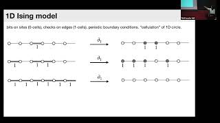 The Physics of LDPC codes Part 3  Vedika Khemani [upl. by Gascony]