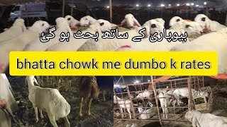 rawalpindi bakra mandi update  bakra mandi 2023  bhatta chowk mandi [upl. by Brier]