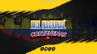 🇪🇨🔥 MIX CHICHA CORTAVENAS VOL 1  SANTIAGO JIMBO DJ 🔥🇪🇨 [upl. by Trudi661]