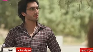 Zard Patton Ka Ban Episode 12 Promo Teaser  zardpattonkabanepi13  Sajal Ali  Hamza Suhail [upl. by Ahsal]