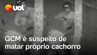 GCM é afastado após ser gravado matando o próprio cachorro com um tiro em SP veja vídeo [upl. by Llehsad]