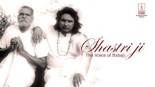 Shastri Ji Shri Vishnu Datt MishraThe Voice of Babaji  Haidakhandi Baba jis devotee [upl. by Haskell273]