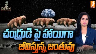 చంద్రుడి పై హాయిగా జీవిస్తున్న జంతువు  Tardigrade Live In Space  InDepth [upl. by Ianteen610]