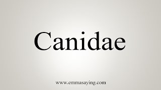 How To Say Canidae [upl. by Armil]