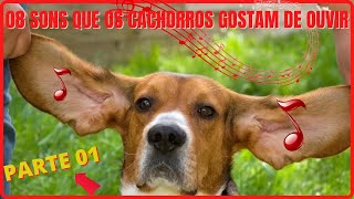 08 SONS QUE OS CACHORROS ADORAM OUVIR  FAÇA O TESTE [upl. by Adnicul]