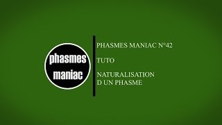 TUTO EntomologieComment naturaliser un phasme [upl. by Loella568]