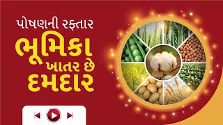 આજ ની કૃષિ માહિતી 👌 પોષણની રફ્તાર ઉત્પાદન શાનદાર  એગ્રોસ્ટાર ભૂમિકા 🔥 AgroStar Bhumika [upl. by Ayahs467]