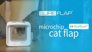 How to Learn a Standard Cat into your DualScan Microchip Cat Flap [upl. by Artemahs130]