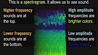 What is a Spectrogram [upl. by Androw]