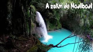 Cascade Kawasan Falls de Moalboal aux Philippines [upl. by Lednor]