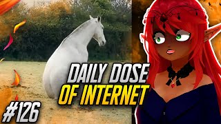 WHAT IS HAPPENING  Daily Dose of Internet Reaction [upl. by Avevoneg]