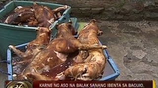 24Oras Karne ng 68 aso na balak sanang ibenta sa Baguio nasabat sa Pampanga [upl. by Nonahs]