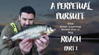 A Perpetual Pursuit  Part 1  Roach Fishing  Loch Lomond [upl. by Naynek]