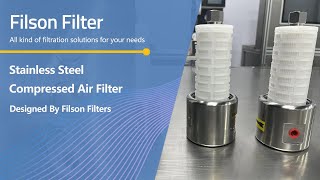 Stainless Steel Compressed Air FilterSS 304316L Housing and Glass Fiber PP PTFE Filter Element [upl. by Eilram]