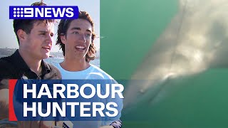 Two fisherman catch bull shark in Sydney Harbour  9 News Australia [upl. by Ellasal646]