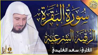 سورة البقرة الرقية الشرعية سعد الغامدي تلاوة عذبة هادئة  Surah Al Baqarah [upl. by Arline857]