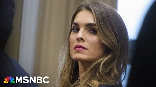 Rare nonscoundrel witness Hope Hicks obliterates Trumps defense with credible testimony [upl. by Otes393]