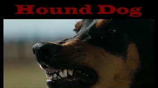 Hound Dog  Elvis Presley cover [upl. by Llekram]