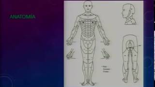 MANEJO EMERGENCIA TRAUMA VERTEBRO MEDULAR [upl. by Helas]